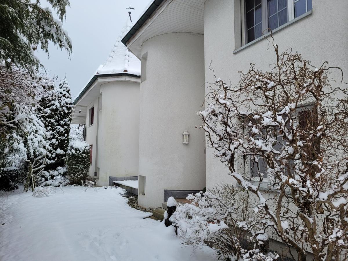 Villa Castagna Guesthouse Lucerne ภายนอก รูปภาพ