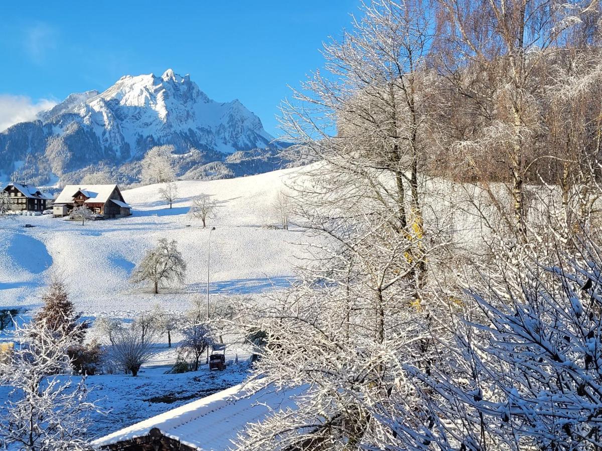 Villa Castagna Guesthouse Lucerne ภายนอก รูปภาพ