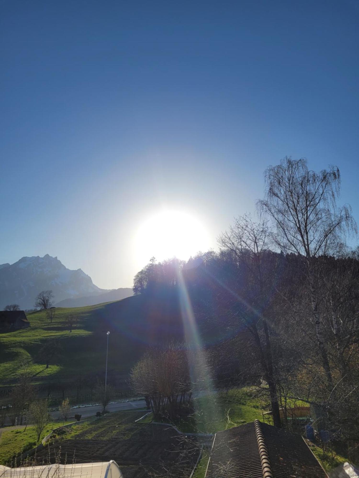 Villa Castagna Guesthouse Lucerne ห้อง รูปภาพ